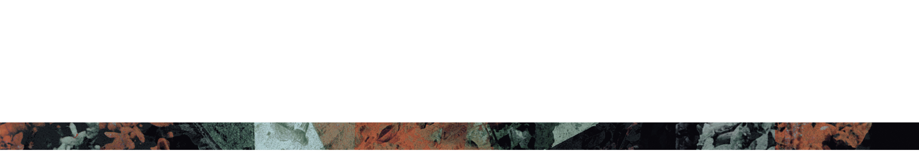 Pavlov